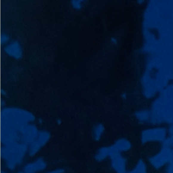 Midnight Tide Legging-Made in Brazil - Picture 3 of 3